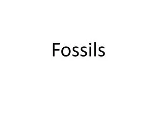 Fossils