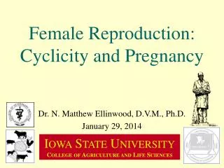 Female Reproduction: Cyclicity and Pregnancy