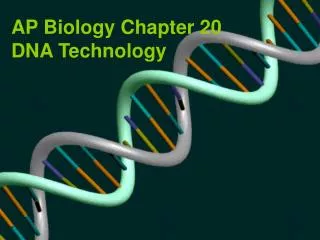 AP Biology Chapter 20 DNA Technology