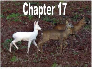 Chapter 17