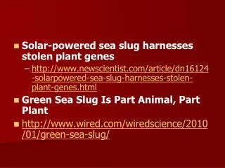 Solar-powered sea slug harnesses stolen plant genes