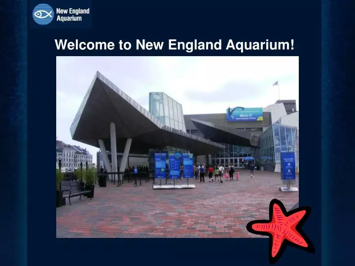 welcome to new england aquarium