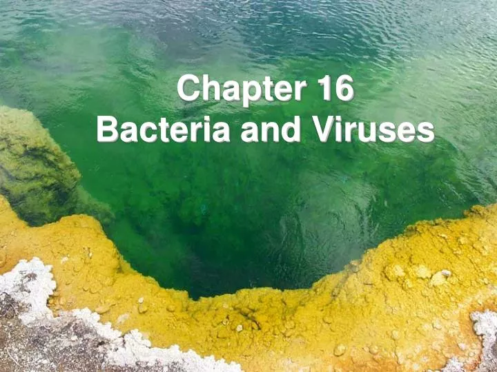 chapter 16 bacteria and viruses