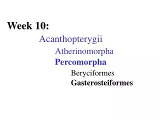 Week 10: Acanthopterygii Atherinomorpha 			Percomorpha Beryciformes 				Gasterosteiformes