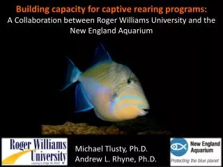 Building capacity for captive rearing programs: