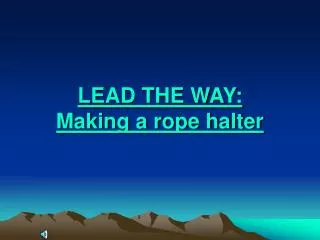 LEAD THE WAY: Making a rope halter