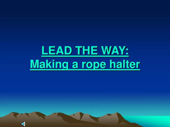 lead the way making a rope halter