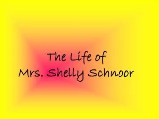The Life of Mrs. Shelly Schnoor