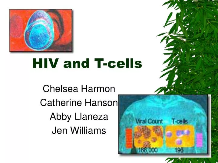 hiv and t cells