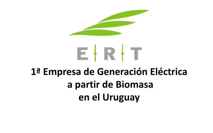 1 empresa de generaci n el ctrica a partir de biomasa en el uruguay