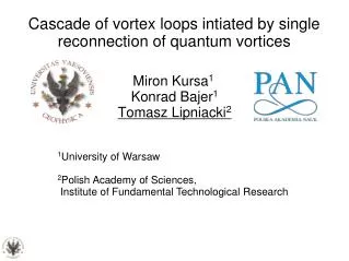 Cascade of vortex loops intiated by single reconnection of quantum vortices