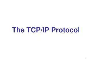 The TCP/IP Protocol