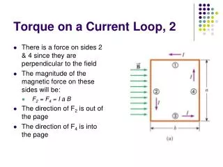 Torque on a Current Loop, 2