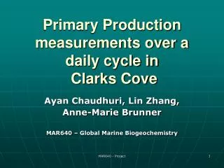 Primary Production measurements over a daily cycle in Clarks Cove