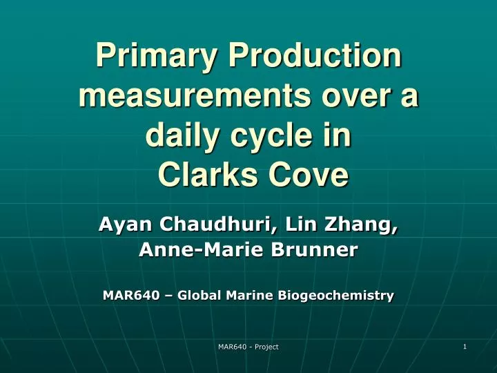 primary production measurements over a daily cycle in clarks cove