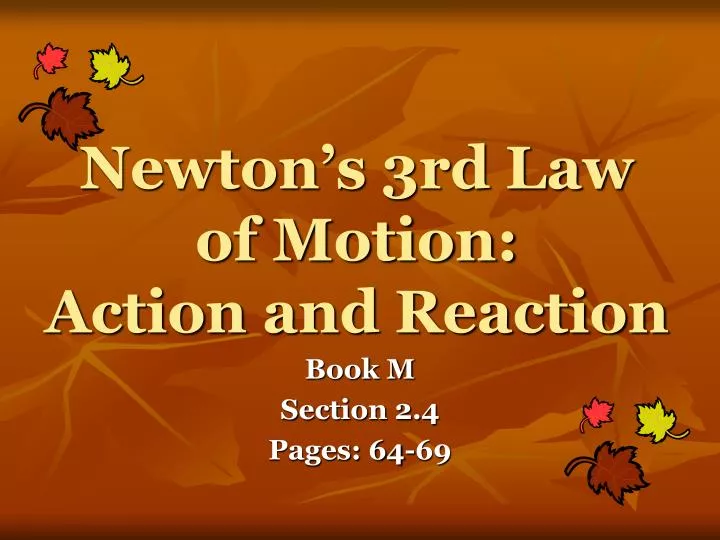 newton s 3rd law of motion action and reaction