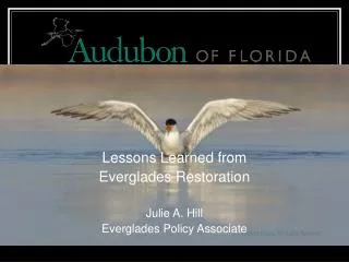 Lessons Learned from Everglades Restoration Julie A. Hill Everglades Policy Associate