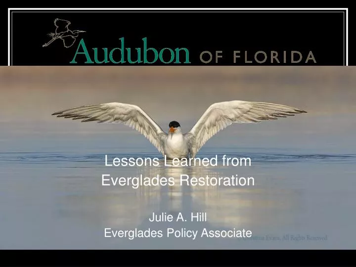 lessons learned from everglades restoration julie a hill everglades policy associate
