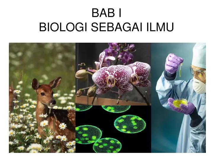 bab i biologi sebagai ilmu