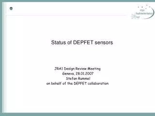 Status of DEPFET sensors