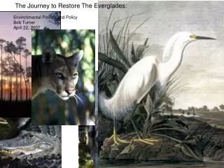 The Journey to Restore The Everglades: 							Reinventing CERP