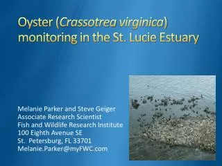 Oyster ( Crassotrea virginica ) monitoring in the St. Lucie Estuary