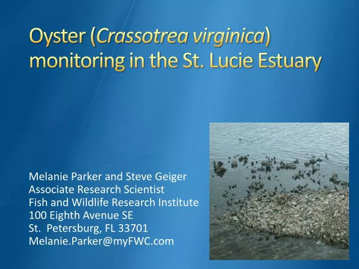 oyster crassotrea virginica monitoring in the st lucie estuary