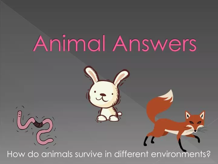 animal answers