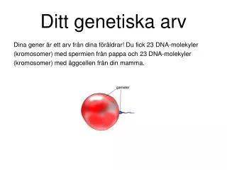 ditt genetiska arv