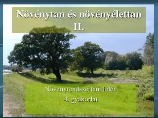 n v nytan s n v ny lettan ii