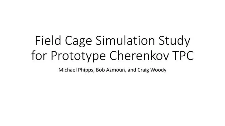 field cage simulation study for prototype cherenkov tpc