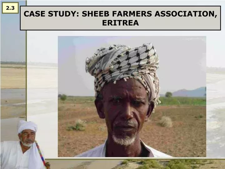 case study sheeb farmers association eritrea