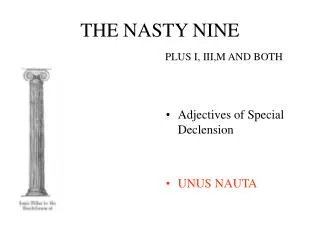 THE NASTY NINE PLUS I, III,M AND BOTH