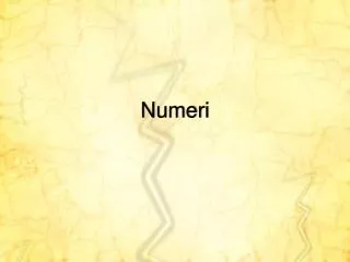 numeri