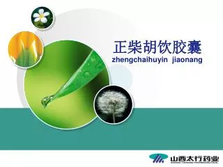 zhengchaihuyin jiaonang