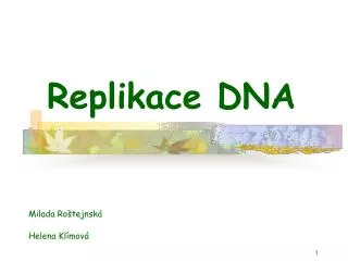 replikace dna