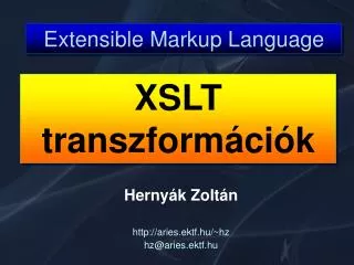 extensible markup language