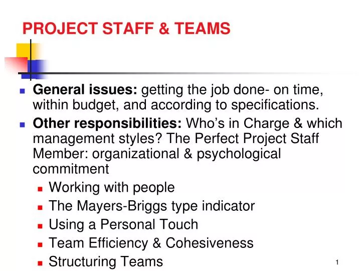 project staff teams