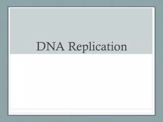 DNA Replication