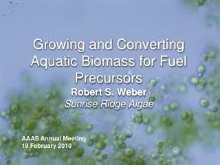 Growing and Converting Aquatic Biomass for Fuel Precursors Robert S. Weber Sunrise Ridge Algae