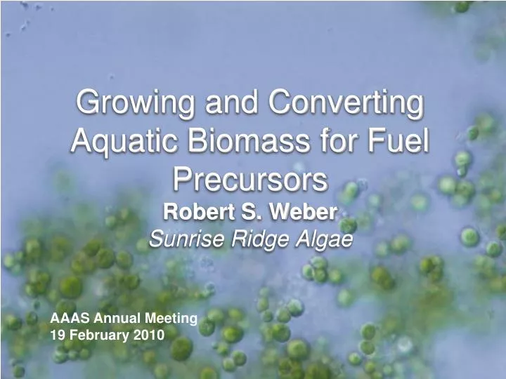 growing and converting aquatic biomass for fuel precursors robert s weber sunrise ridge algae