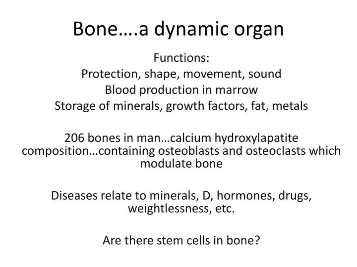bone a dynamic organ
