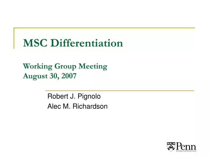 msc differentiation working group meeting august 30 2007