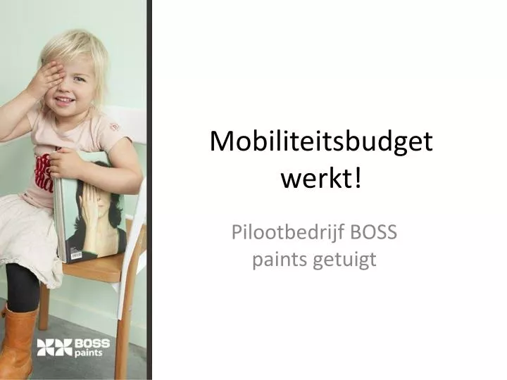 mobiliteitsbudget werkt