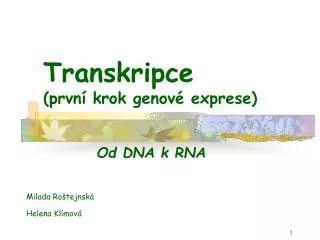 transkripce prvn krok genov exprese