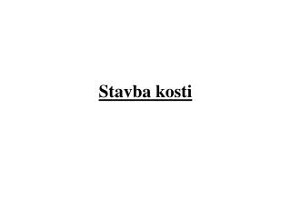 stavba kosti