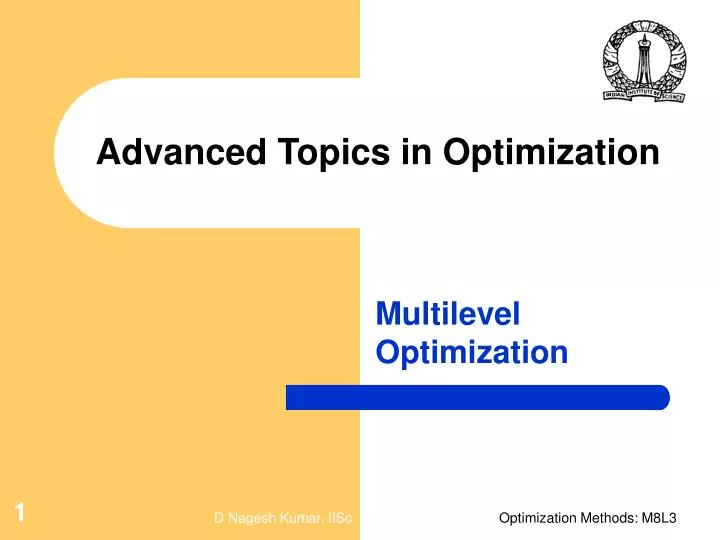 advanced topics in optimization