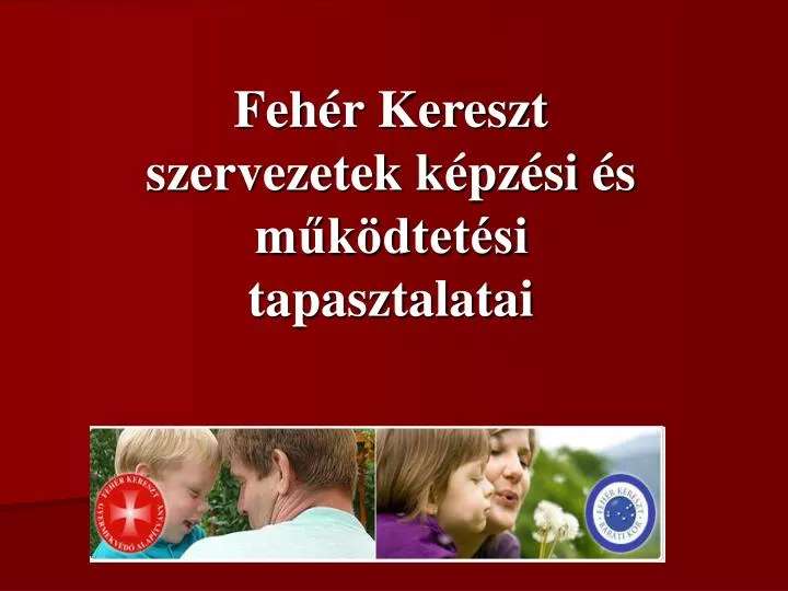 feh r kereszt szervezetek k pz si s m k dtet si tapasztalatai