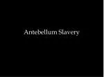 Antebellum Slavery - slide 1