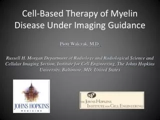 Cell-Based Therapy of Myelin Disease Under Imaging Guidance